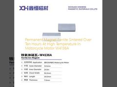 Permanent Magnet Ferrite Sintered Over Ten Hours At High Temperature  In Motorcycle Motor W4136A